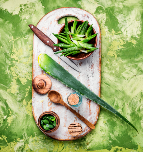 Rejuvenate and Revitalize: Harnessing the Benefits of Aloe Vera