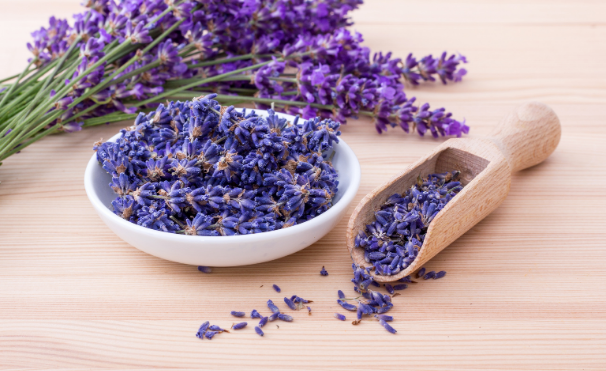 Unlocking the Versatility of Lavender